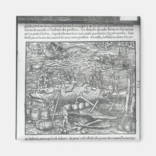 Aimant Joindre une baleine