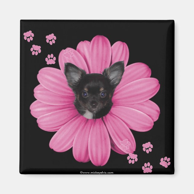 Aimant Joli adorable Sly Heaven Chihuahua (Devant)