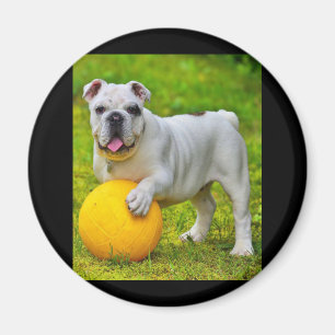 Aimant Joli cadeau de Bulldog Basketball Bulldog Lover an