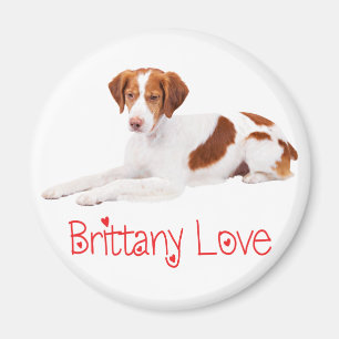 Aimant Joli Chien Amoureux Brittany Spaniel