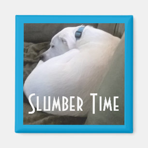 Aimant Joli Chubby White Sleeping Chien Chien Chien Stwoo