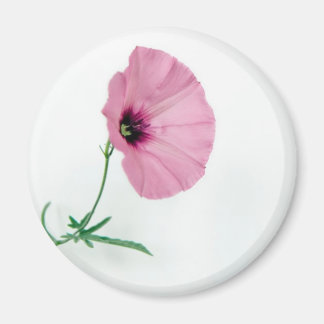 Aimant Joli En Rose