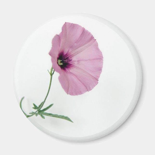 Aimant Joli En Rose (Devant)