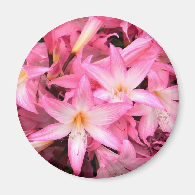 Aimant Joli en rose... (Devant)