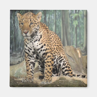 Aimant Joli Jaguar