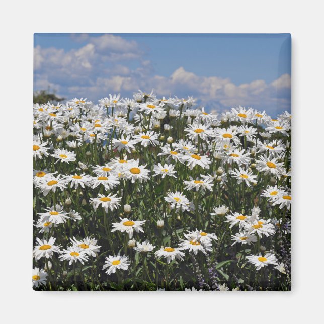 Aimant Joli jardin blanc (Devant)