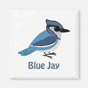 Aimant Joli Jay bleu