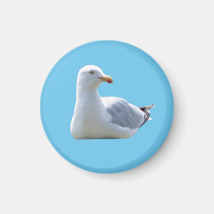 Aimant Joli Mouette au Repos Calme Scène Côtière Bleue Ro