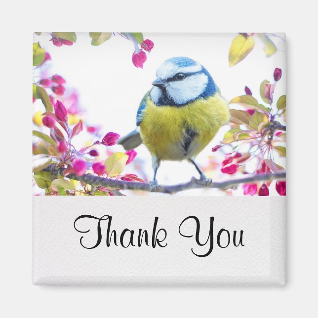 Aimant Joli oiseau bleu et jaune sur une branche Photogra (Devant)