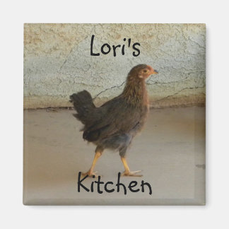 Aimant Joli poulet errant