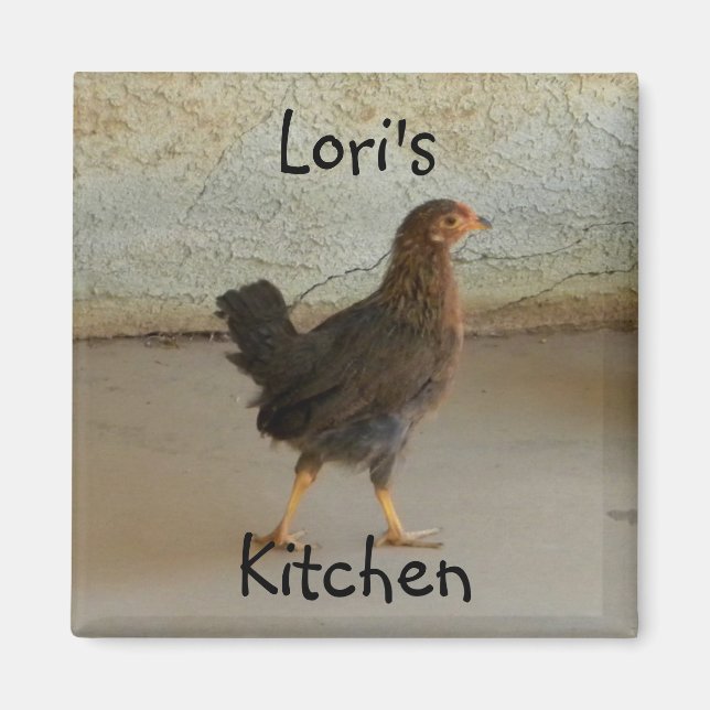 Aimant Joli poulet errant (Devant)