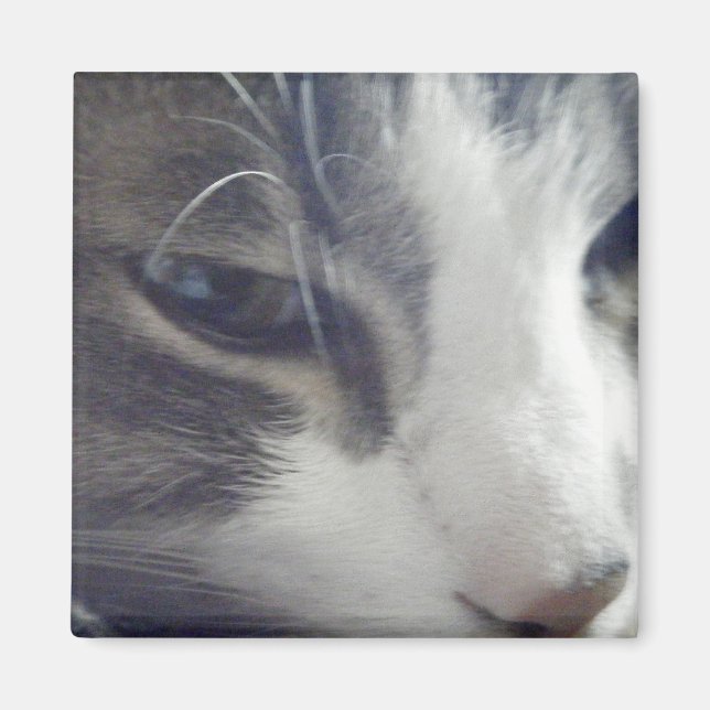 Aimant Jolie Kitty (Devant)