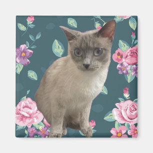 Aimant Jolie Kitty