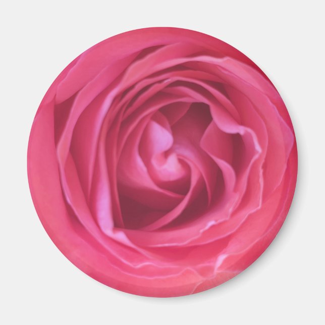 Aimant Jolie Rose Rose (Devant)
