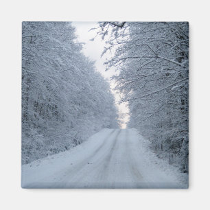Aimant Jolie scène d'arbre de route d'hiver