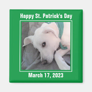 Aimant Jolie St. Patrick's Day Green Lazy Chien