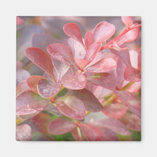 Aimant Jolies branches roses