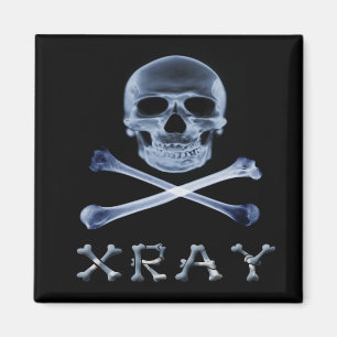Aimant JOLLY ROGER de RADIOLOGIE de drapeau de PIRATE de
