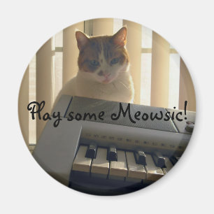 Aimant Jouez un certain Meowsic !