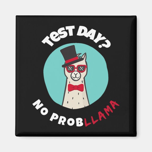 Aimant Jour Pas De Problème Drôle Test Llama Design (Devant)
