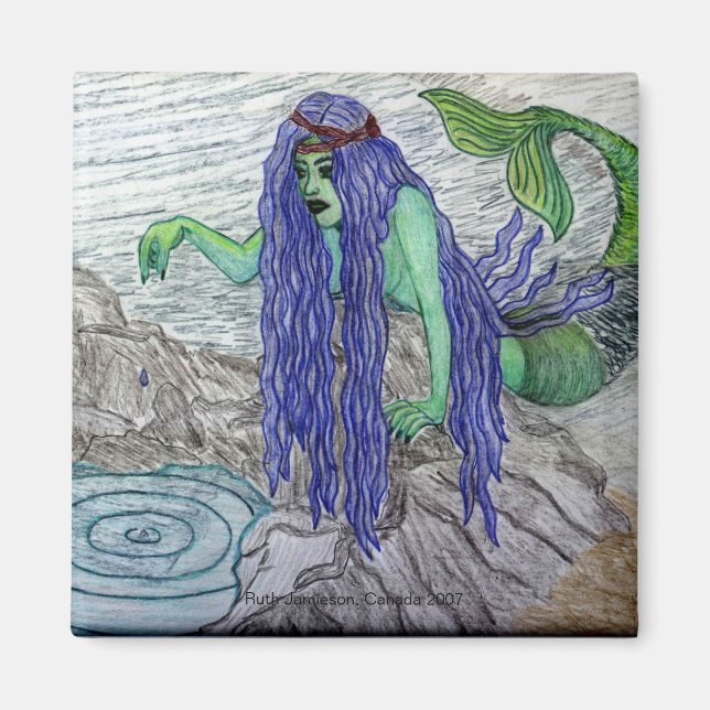 AIMANT JOURNAL TIDEPOOL (Devant)