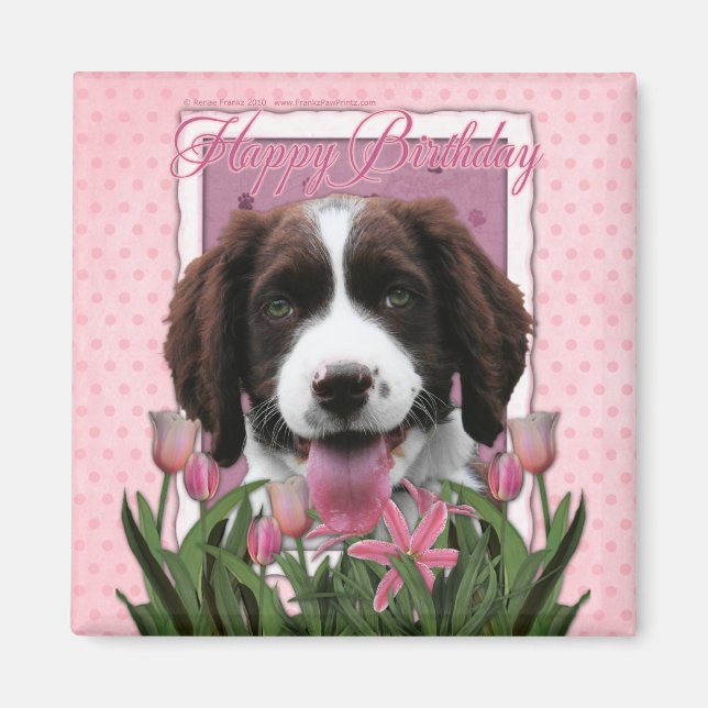 Aimant Joyeux anniversaire - Anglais Springer Spaniel - B (Devant)