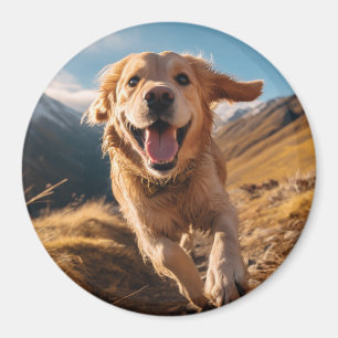 Aimant Joyeux Golden Retriever en cours