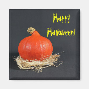 Aimant Joyeux Halloween