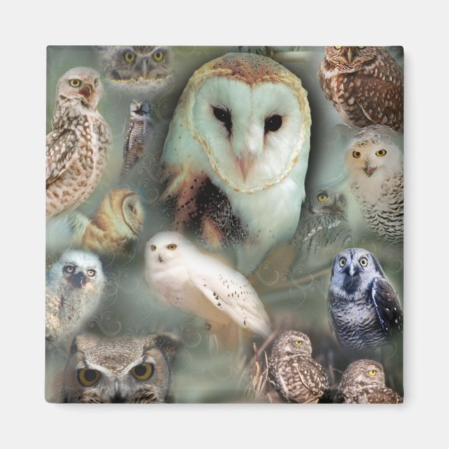 Aimant Joyeux hibou (Devant)