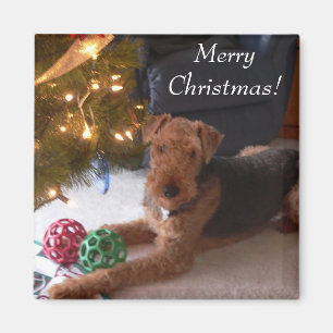Aimant Joyeux Noël !