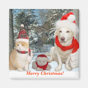 Aimant Joyeux Noël !
