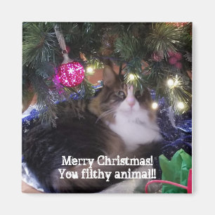 Aimant Joyeux Noël, animal sale, à l'écart du chat
