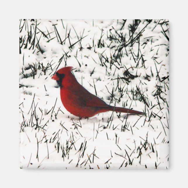 Aimant Joyeux Noël Cardinal (Devant)