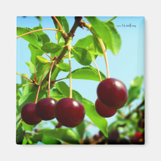 Aimant Joys d'été - cerises rouges