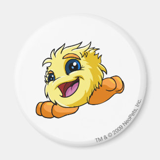 Aimant JubJub jaune