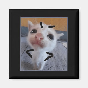 Aimant Jugement Kitty Funny Amoureux des chats Angry Kitt