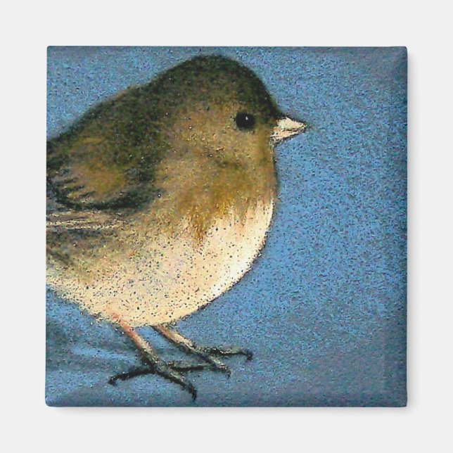 AIMANT JUNCO BIRD DRAWING (Devant)
