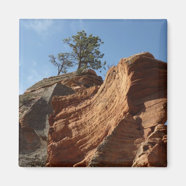 Aimant Jusqu'à Angels Landing dans le parc national de Si (Devant)