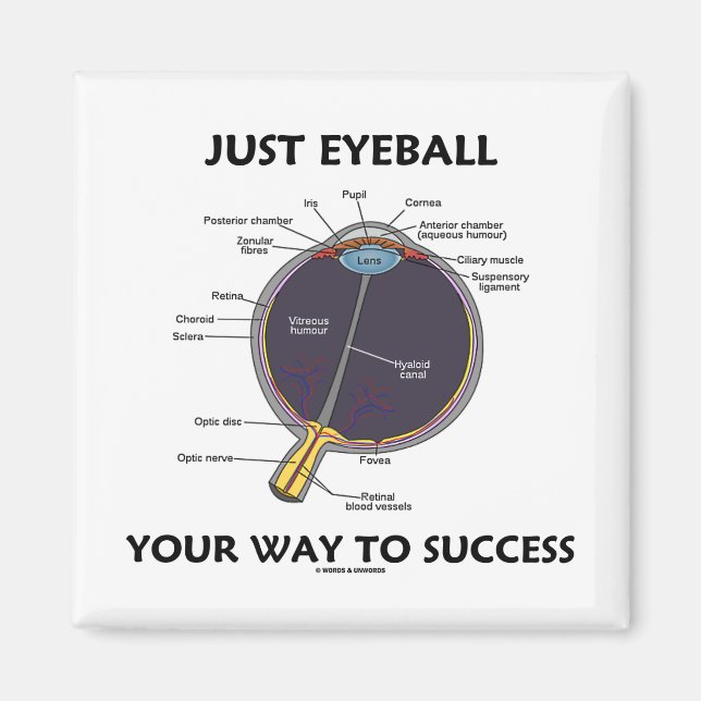 Aimant Juste Eyeball Votre Chemin Vers Le Succès (Anatomi (Devant)