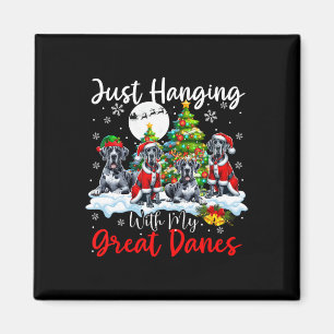 Aimant Juste Pénétrer Avec Mes Grands Danois Noël Trois P