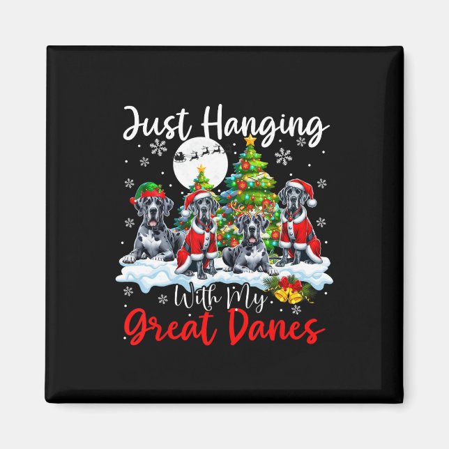 Aimant Juste Pénétrer Avec Mes Grands Danois Noël Trois P (Devant)