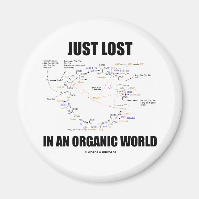 Aimant Juste Perdu Dans Un Monde Biologique (Humour Cycle (Devant)