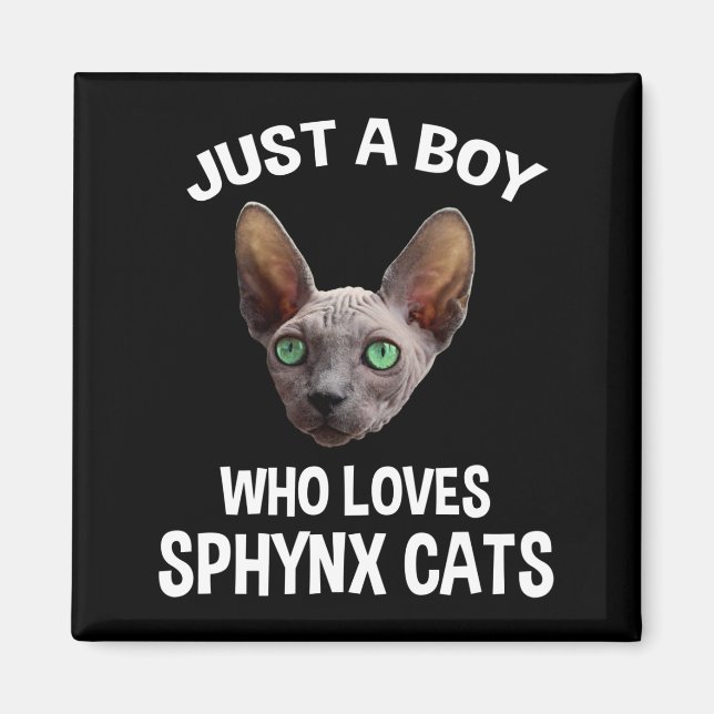 Aimant Juste Un Garçon Qui Aime Les Chats Sphynx (Devant)