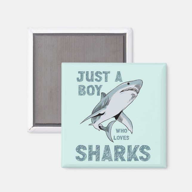 Aimant Juste un garçon qui aime Sharks Shark Lover (Recto/Verso)