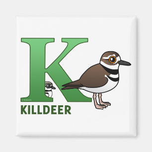 Aimant K est pour Killdeer