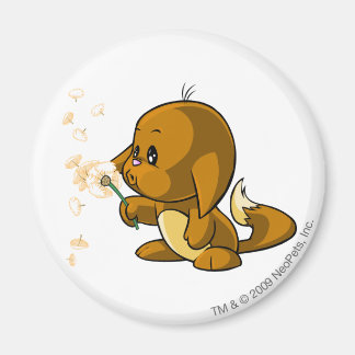 Aimant Kacheek Brown