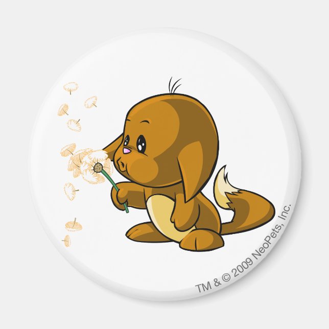 Aimant Kacheek Brown (Devant)