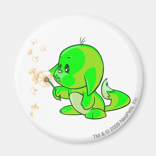 Aimant Kacheek Glissant (Devant)