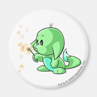 Aimant Kacheek Green