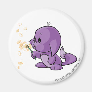 Aimant Kacheek Purple